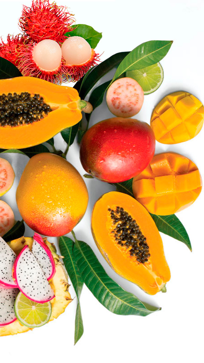 fruit