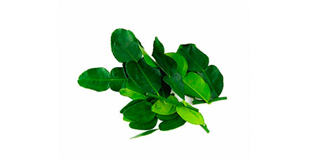 tovar
